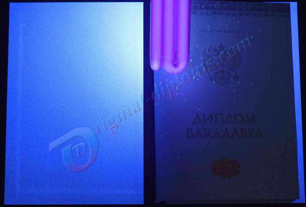 Диплом бакалавра 2014-2026